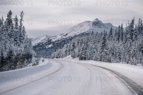 Winter road trip on the Icefields Parkway with lots of snow and ice, Banff National Park, Jasper National Park, Alberta, Canada