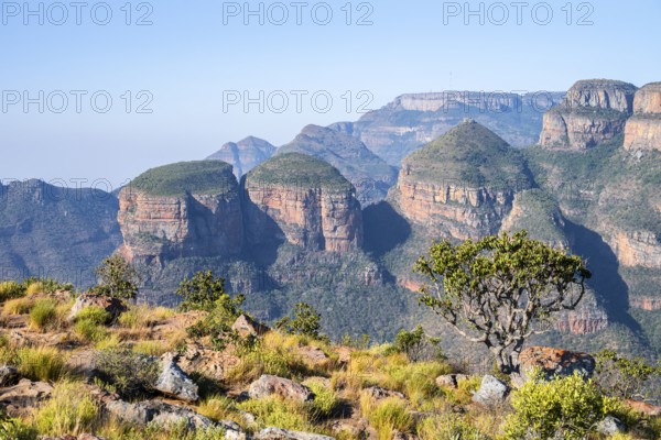 Blyde River Canyon with Three Rondawels peak, view of canyon and table mountains, canyon landscape, Three Rondavels Viewpoint, Panorama Route, Mpumalanga, South Africa