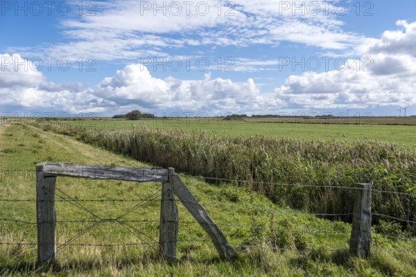Tranquil rural landscape with expansive sky and clouds, meadows and an old fence in the foreground, North Sea island of Föhr, North Frisia, Schleswig-Holstein, Germany