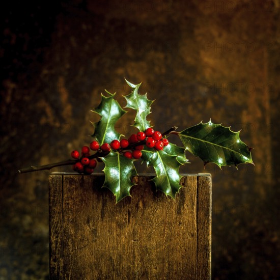 A branch of Christmas holly featuring vibrant red berries and shiny green leaves is elegantly placed on a rustic wooden surface. The warm brown background enhances the seasonal charm