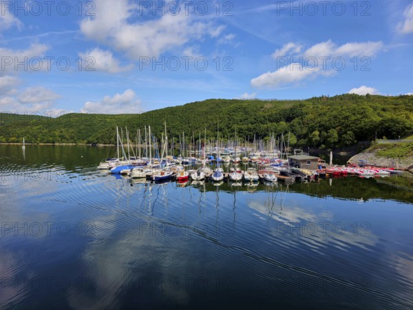 Quiet harbour with sailing boats under a blue sky and reflections in the water, surrounded by forest, summer, Rursee, Rurtalsperre, Simmerath, Eifel National Park, North Rhine-Westphalia, Germany