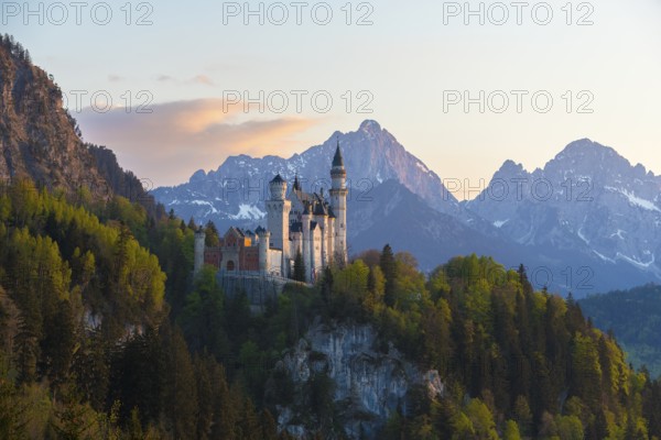 Castle in the evening light against a backdrop of snow-capped mountains, Neuschwanstein, Schwangau near Füssen, Ostallgäu district, Swabia, Bavaria, Germany