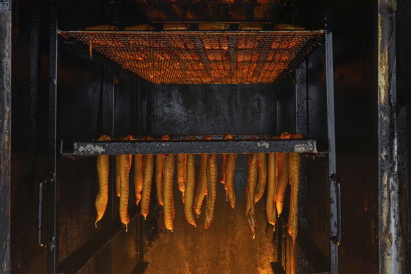 Smoking fish over beechwood fire in large metal smoker oven on the island Usedom in the Baltic Sea, Mecklenburg-Vorpommern, Germany