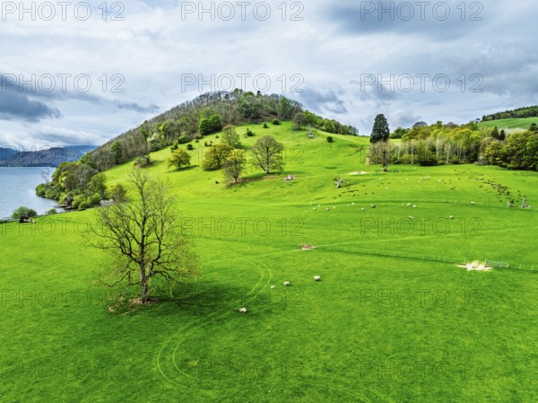 Farms and mountains over Ullswater Lake from drone, Pooley Bridge, Lake District National Park, Cumbria, England, United Kingdom