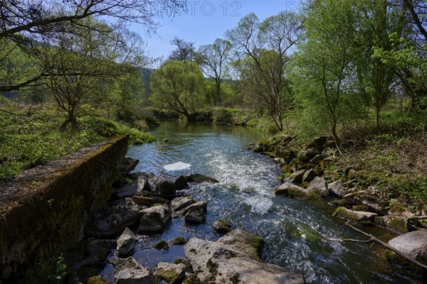 A tranquil river landscape with green trees and stones lining the banks, spring, Burgsinn, Sinntal, Spessart, Bavaria, Germany