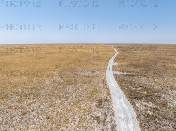 Sandy track through wide dry landscape with yellow grass, Sowa Pan, Makgadikgadi salt pans, Botswana