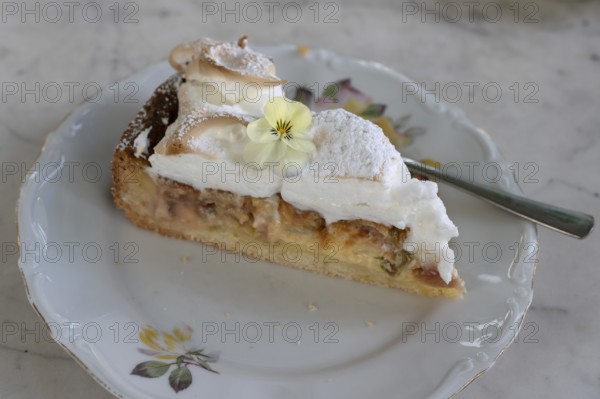 Piece of rhubarb pie, Bavaria, Germany