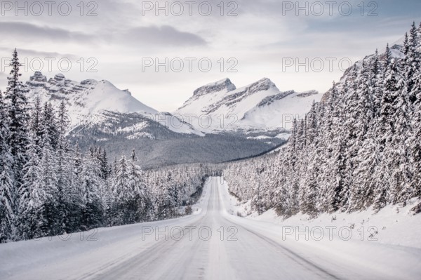 Winter road trip on the Icefields Parkway with lots of snow and ice, Banff National Park, Jasper National Park, Alberta, Canada