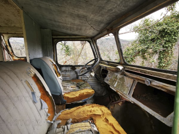 An abandoned truck interior shows worn-out seats and a dusty dashboard, surrounded by creeping vines and trees, capturing a moment of neglect in nature