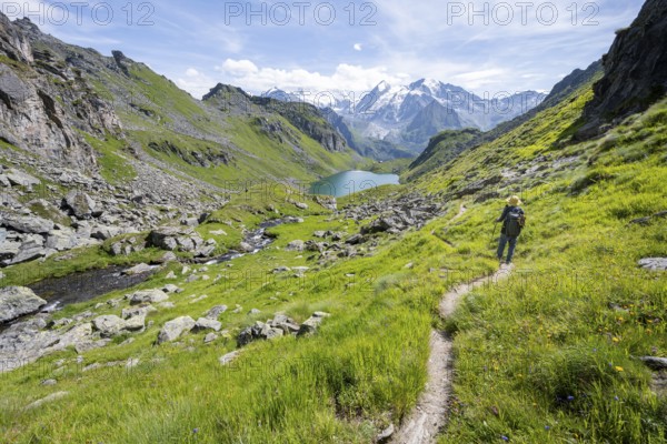 Mountaineer on hiking trail in picturesque mountain landscape, view of mountain lake Lac du Louvie and glaciated mountain peaks of the Grand Combine, Valais Alps, Val de Bagnes, Valais, Switzerland