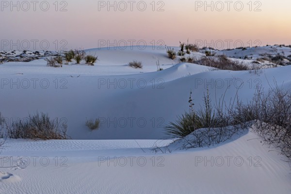 Gypsum dunefields at White Sands National Monument located within the Chihuahuan Desert and the Tularosa Basin near Alamorodo, New Mexico, USA