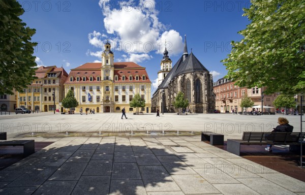 Baroque town hall, Protestant late Gothic St. Mary's Church, town church, and Mohren Pharmacy, market square, Weißenfels, Saxony-Anhalt, Germany