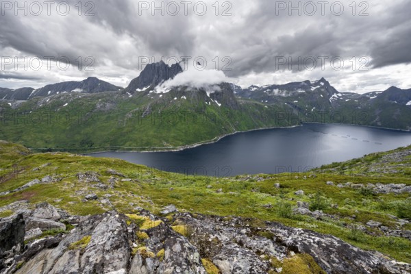 View of Mefjorden fjord from Barden mountain, Breidtind mountain peak behind, Senja, Norway