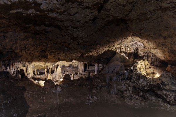 Limestone rock formations in a cave at Florida Caverns State Park in the Florida panhandle near Marianna