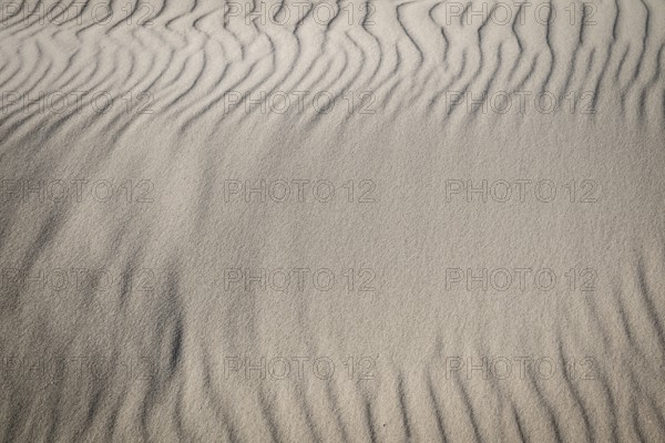 Wave-like sand structures in close-up, sand drifts, Hvide Sande, North Sea, Denmark