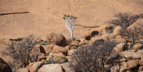 Rock formation, Pontok Mountains, Great Spitzkoppe, Spitzkoppe, Great Spitzkoppe Nature Reserve, Namibia