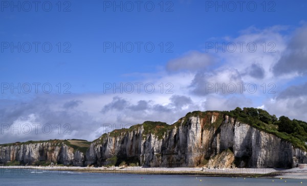 Cliff, cliffs, coastal landscape, rock formation, Yport, chalk cliffs, alabaster coast, La Côte d'Albâtre, Normandy, Seine-Maritime, France