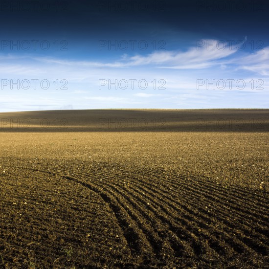 A vast stretch of farmland showcases freshly tilled soil stretching towards the horizon. The sky is clear with a few wisps of clouds, providing a serene backdrop to the rural landscape. Puy de Dome. Auvergne. France