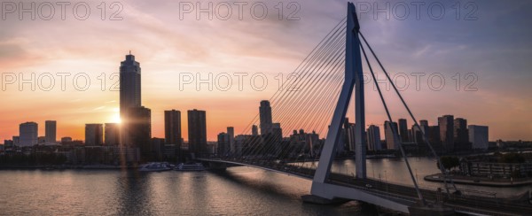 Panoramic view of Erasmus Erasmusbrug bridge in Rotterdam . Financial business district skyline