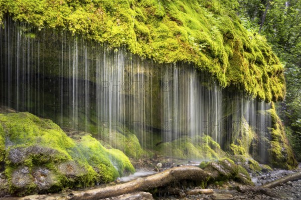 The Dietfurt waterfall, moss and stones, long exposure, Wutach Gorge, Black Forest, Baden-Württemberg, Germany