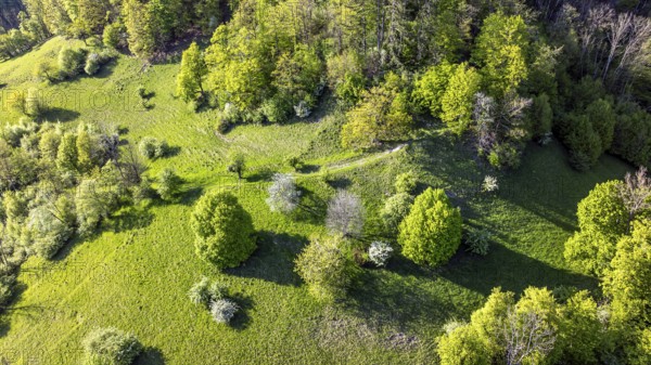 Landscape near Gutenberg, mountains and forest of the Swabian Alb in spring. Lenningen, Baden-Württemberg, Germany