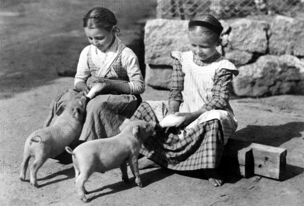 Two hungry piglets and girls, 1930s, Two girls feeding piglets with bottles on a rural road, Historical photo