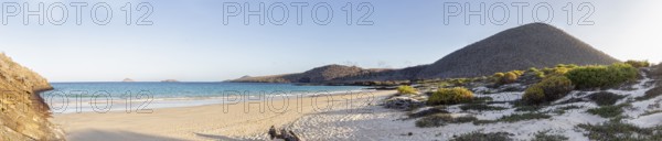 Beach, bay, Cormorant Point, Galapagos, Ecuador