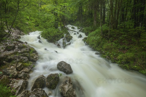 Roaring Weißbach after heavy rain near Inzell in the Alps