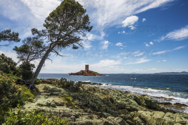 Island with tower and red rocks, Ile d'or, Cap du Dramont, Saint-Raphaël, Massif de l'Esterel, Esterel Mountains, Département Var, Cote d'Azur, Provence-Alpes-Côte d'Azur, France