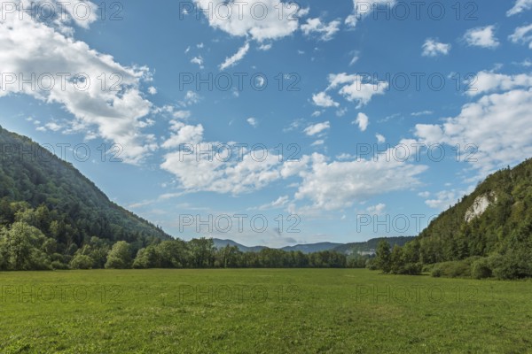 A huge green meadow stretches into the distance, lined with dense forests and rocky hills under a bright blue sky. White clouds drift gently overhead, creating a serene atmosphere. Jura, France