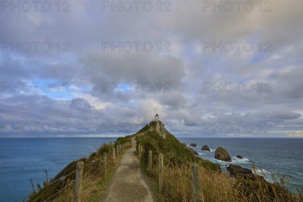 Narrow path to the lighthouse on a cliff with wild sky and sea, summer, Nugget Point lighthouse, Ahuriri Flat, Otago, South Island, New Zealand