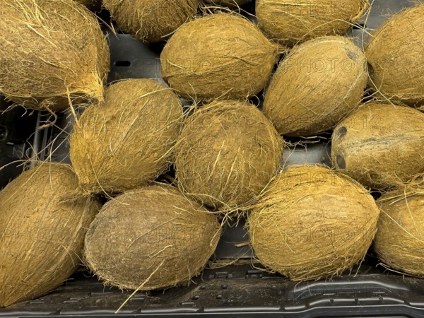 Coconuts in retail on the marketplace, international