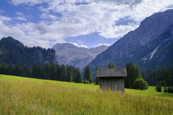 Barn and Prato Piazza meadows, Altpragser Tal, Pragser Tal, Pustertal, South Tyrol, Italy