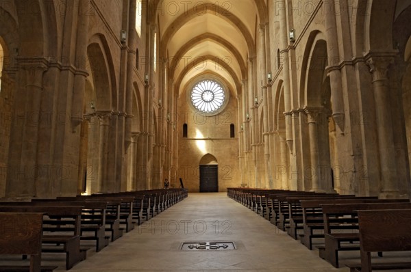 Nave with rose window above portal, interior, Gothic basilica of the Cistercian Abbey of Fossanova, Cistercian-Burgundian architectural style, Priverno, Province of Latina, Lazio, Italy