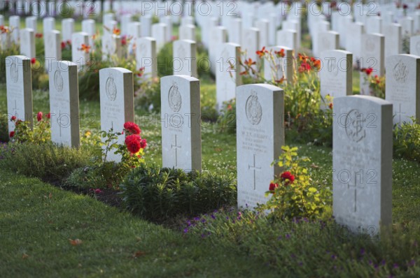 Gravestones, war graves, soldiers' graves, flowers, roses, British and German military cemetery, Cimetière militaire britannique, D-Day, Operation Overlord, Bayeux, Normandy, Calvados, France