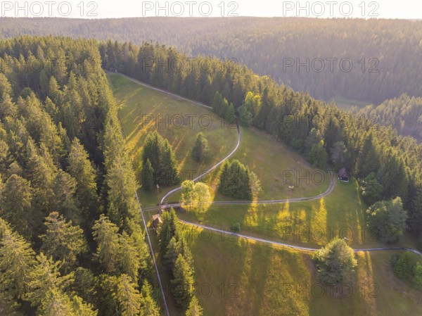 Barren forest landscape with a path along a slope flooded with sunlight, Retro Freizeitpark Poppeltal Riesenrutschbahn, Enzklösterle, Black Forest, Germany