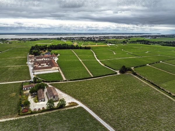 Chateau Pontet-Canet Vineyard and grape fields around Pauillac and Gironde Estuary from a drone, Bordeaux, Gironde, Nouvelle-Aquitaine, France