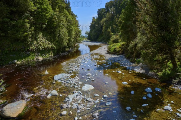 Sunny river course with many stones, framed by lush vegetation, summer, Lake Matheson, Fox Glacier, South Island, New Zealand