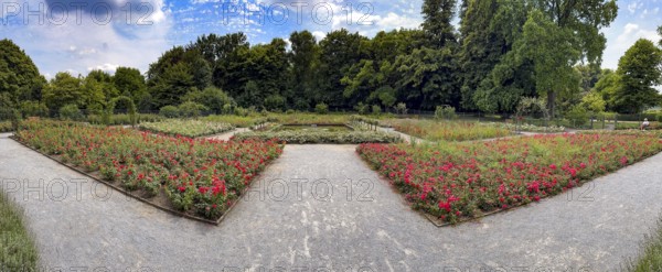 Symmetrically arranged flowerbeds in the rose garden of Grugapark, Essen, North Rhine-Westphalia, Germany