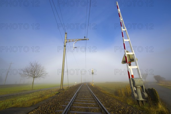 Railroad Tracks in a Foggy Agriculture Field with Bare Tree and Sunlight in Locarno, Ticino, Switzerland
