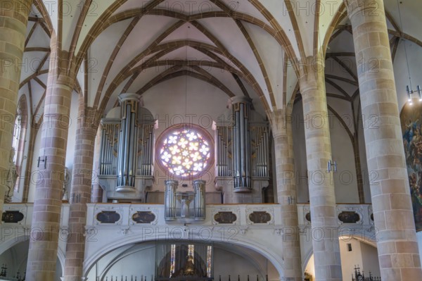 Church interior with organ, rose window and Gothic vaults, Merano, Italy