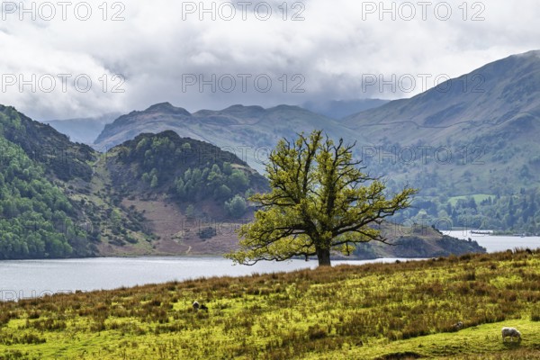 Farms and Mountains over Ullswater Lake, Lake District National Park, Cumbria, England, United Kingdom