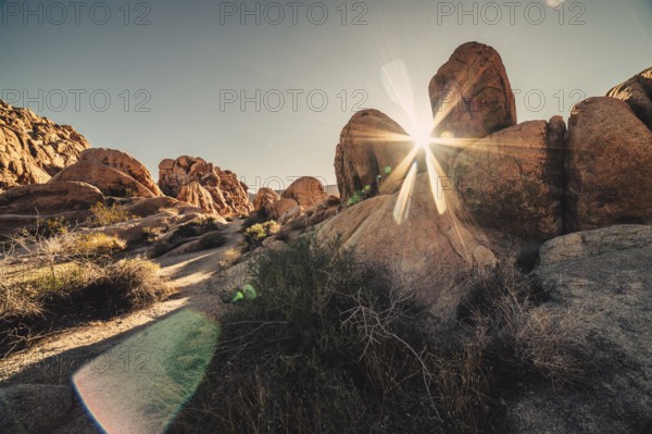 Sunrise in Joshua Tree National Park