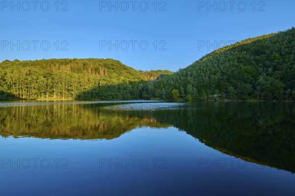 Forest and hills reflected in the calm lake, summer, Rursee, Obersee, Simmerath, Eifel National Park, North Rhine-Westphalia, Germany