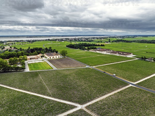 Chateau d'Armailhac Vineyard and grape fields around Pauillac and Gironde Estuary from a drone, Bordeaux, Gironde, Nouvelle-Aquitaine, France