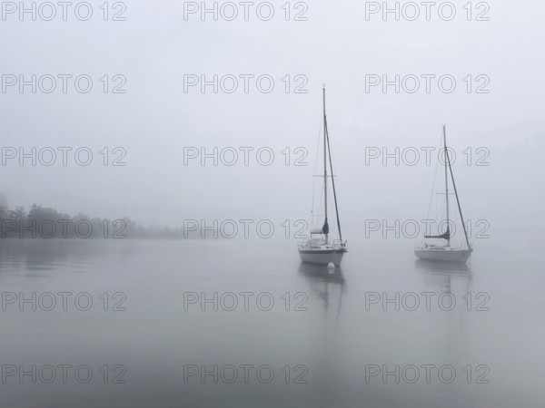 Sailing boats on Lake Starnberg with fog, Bavaria, Germany
