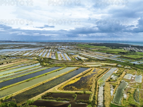 The Lilleau des Niges National Nature Reserve from a drone, The salt marshes, Saint-Clement-des-Baleines, Atlantic, France