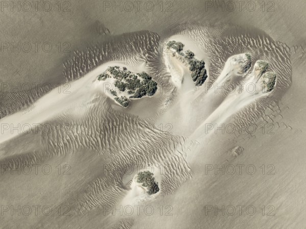 Small sand heaps form around the sparse vegetation in the Namib Desert. Aerial view. Drone shot. Skeleton Coast National Park, Namibia
