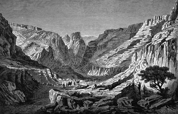 Wadi Egeri in the northern Tassili N'Ajjer Mountains in the Sahara Desert, sandstone mountains, narrow valley, camel caravan, sparse vegetation, tree, Sahara, Algeria, historical illustration 1986