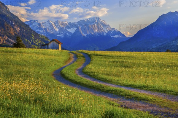Spring meadow with the Zugspitzgruppe 2962m in the evening sun, Eschenlohe, Wetterstein range, Loisachtal, Das Blaue Land, Upper Bavaria, Bavaria, Germany